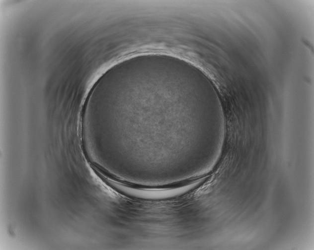 X0000098021527200803281323