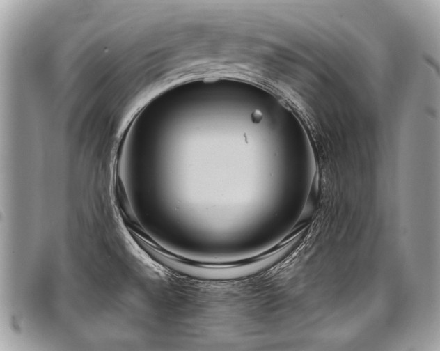 X0000098021528200803281323