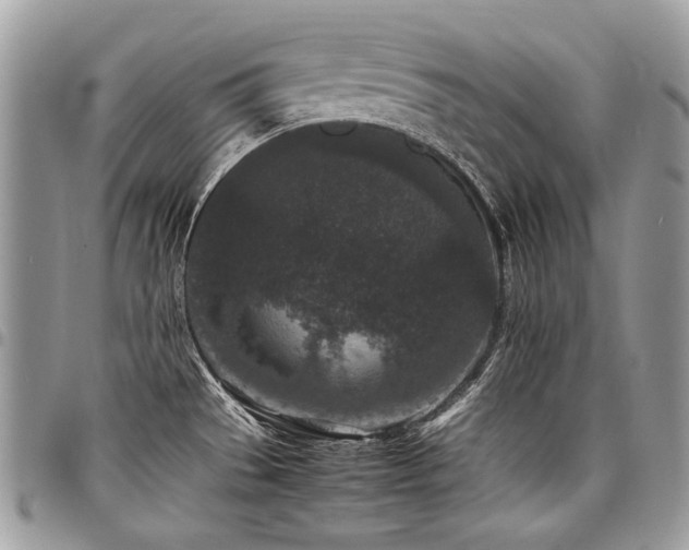 X0000098021529200803281323