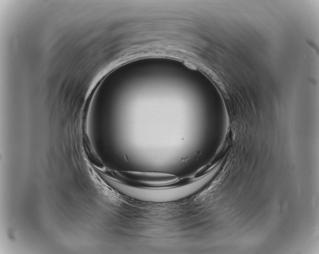 X0000098021530200803281323