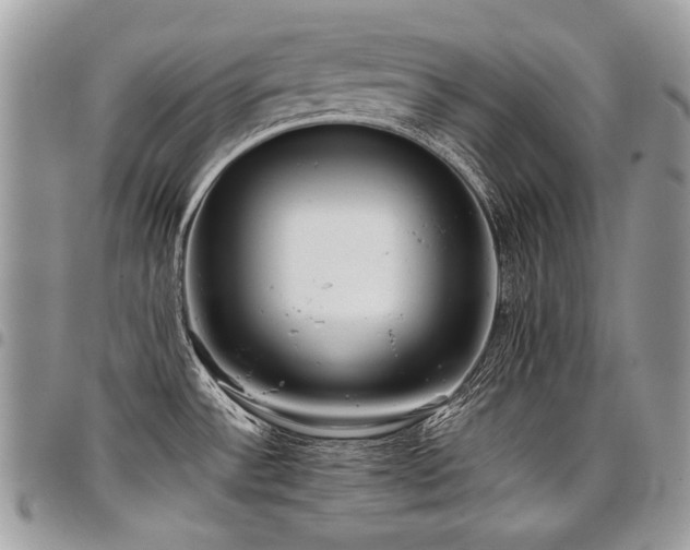 X0000098021532200803281323