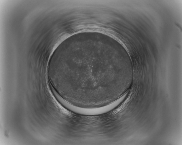 X0000098021533200803281323