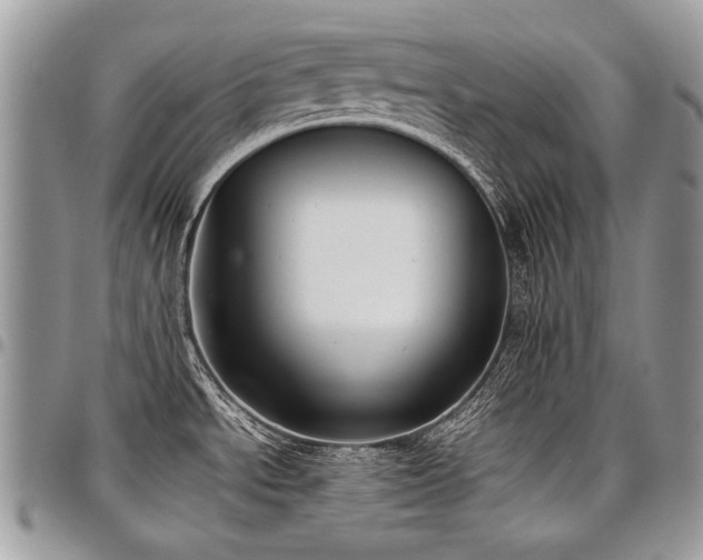 X0000098021534200803281323