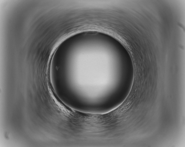 X0000098021536200803281323