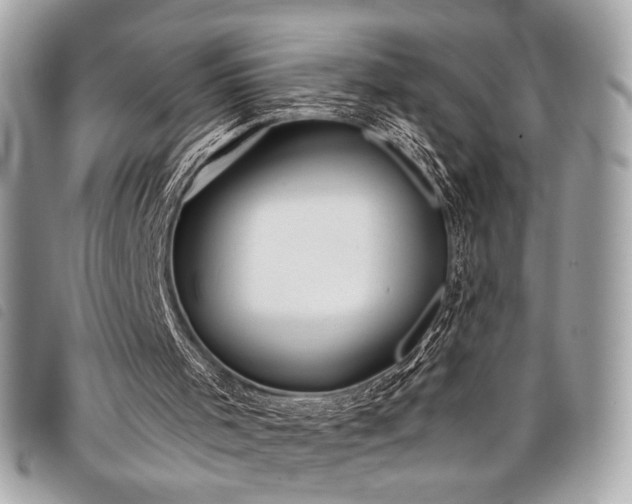 X0000098020001200804071405