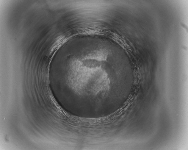 X0000098020002200804071405