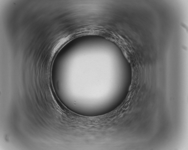 X0000098020003200804071405