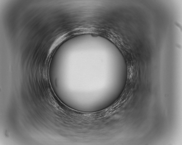 X0000098020004200804071405