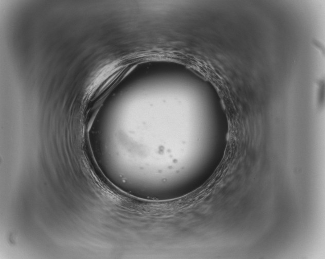 X0000098020005200804071405