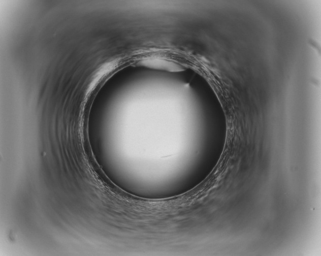 X0000098020006200804071405