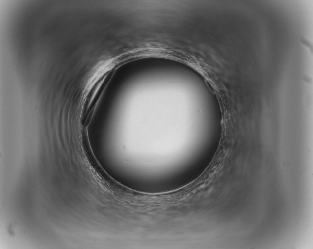 X0000098020007200804071405