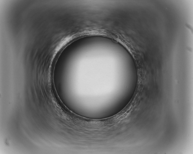 X0000098020008200804071405