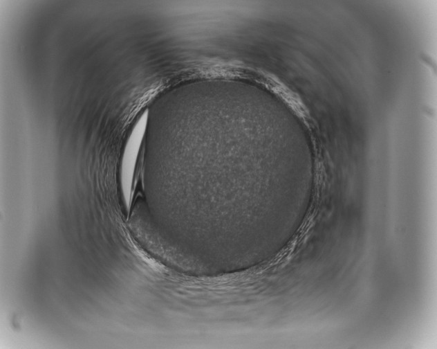 X0000098020009200804071405