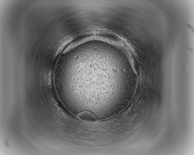 X0000098020010200804071405