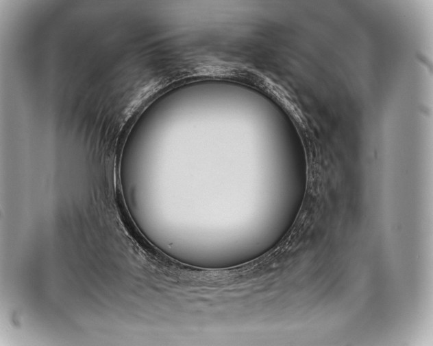 X0000098020011200804071404