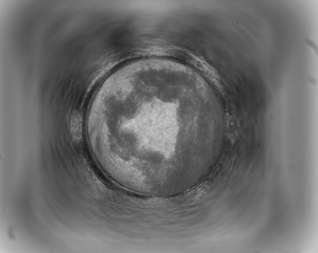 X0000098020012200804071404