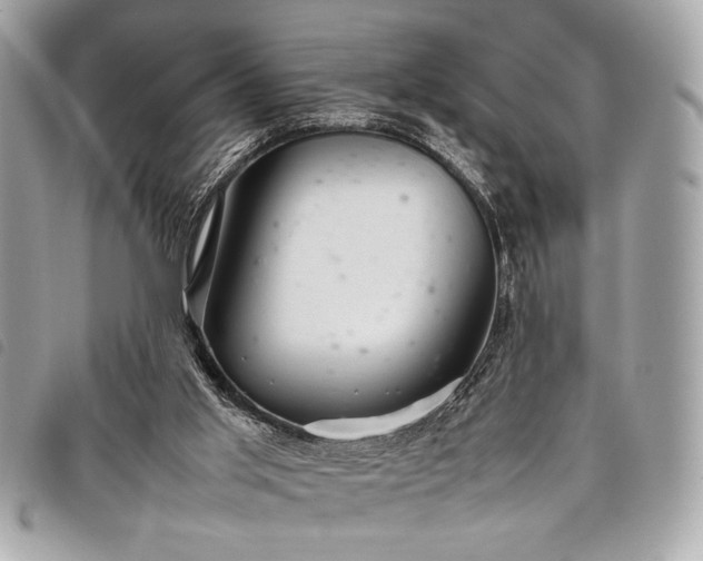 X0000098020013200804071404