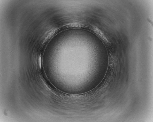 X0000098020014200804071404