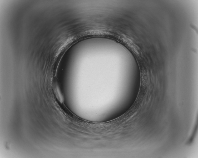 X0000098020015200804071404