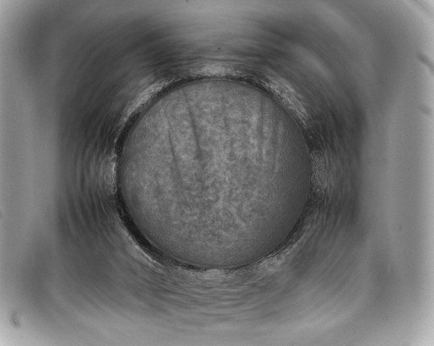 X0000098020016200804071404