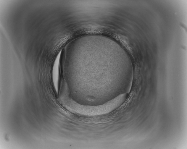 X0000098020017200804071404