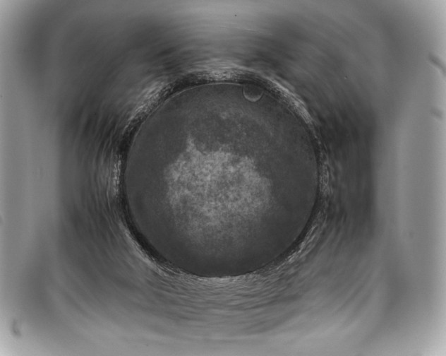 X0000098020018200804071404