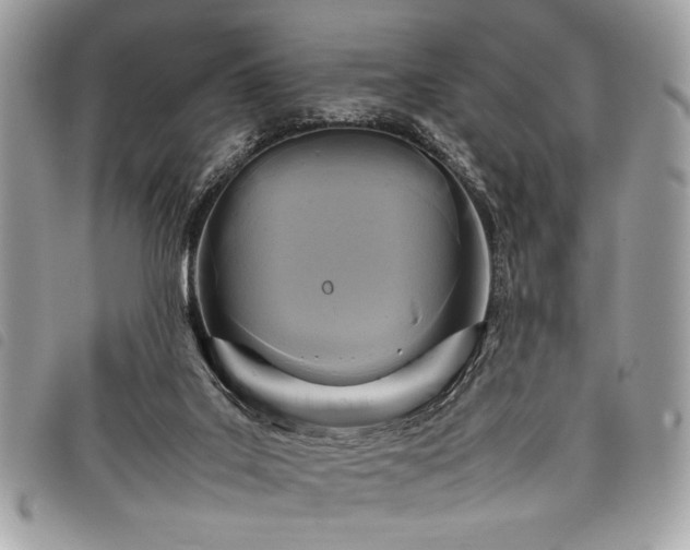 X0000098020019200804071404