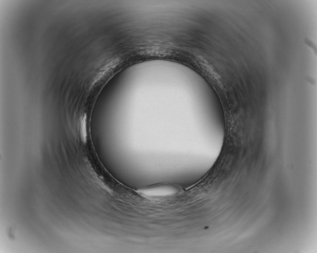 X0000098020020200804071404