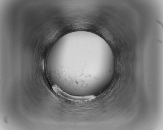 X0000098020021200804071404