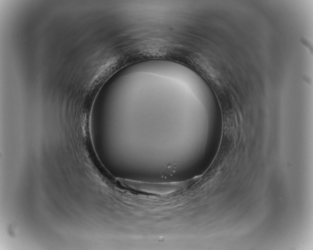 X0000098020023200804071404