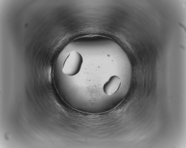 X0000098020024200804071404