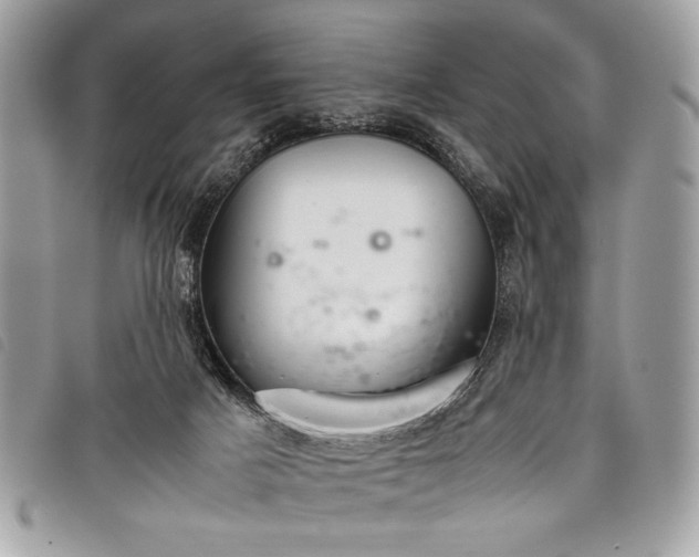 X0000098020025200804071404