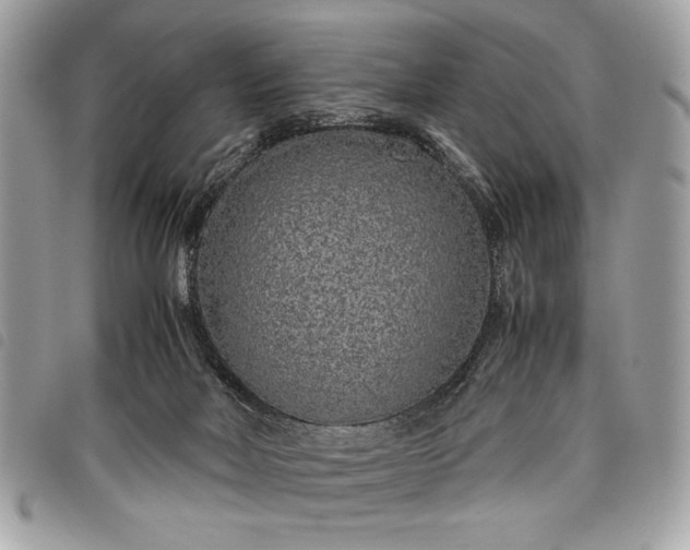 X0000098020026200804071404