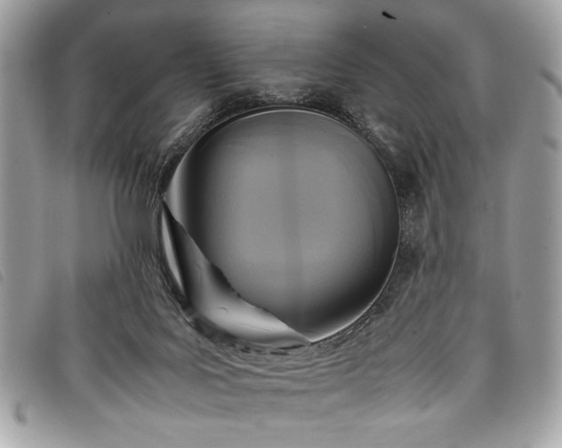 X0000098020027200804071404