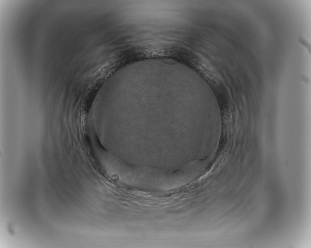 X0000098020029200804071404