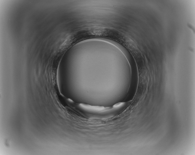 X0000098020031200804071404