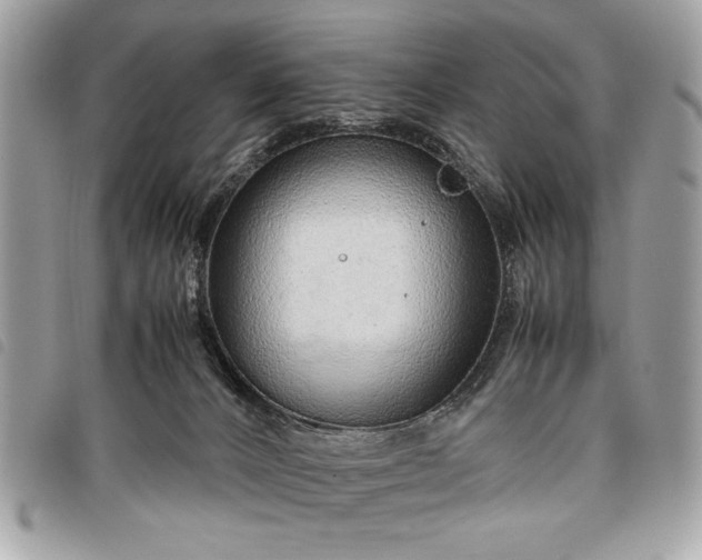 X0000098020032200804071404