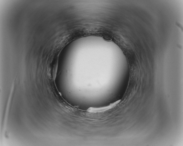 X0000098020033200804071404