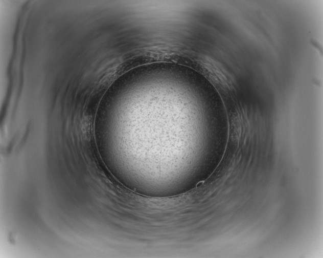 X0000098020034200804071404