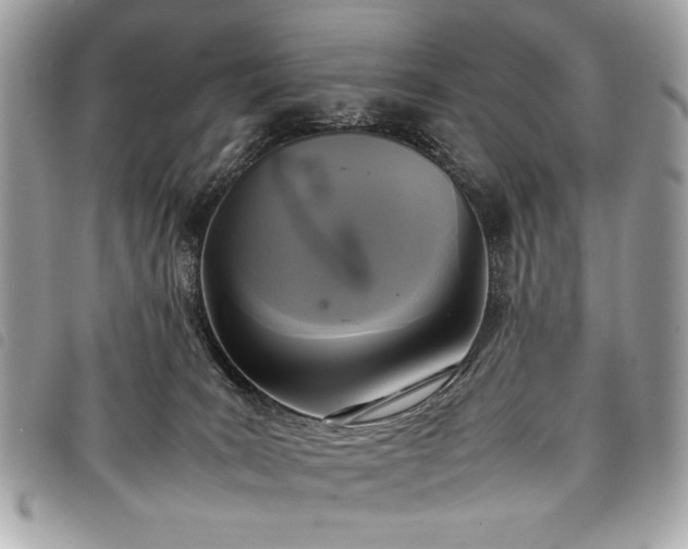 X0000098020035200804071404