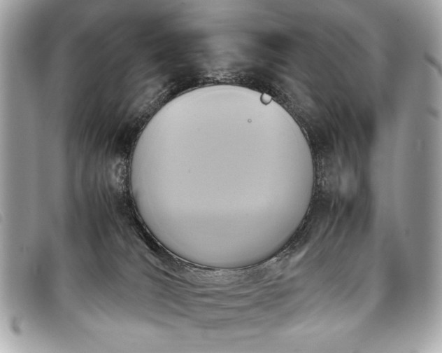 X0000098020036200804071404