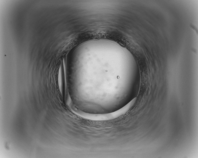 X0000098020037200804071404