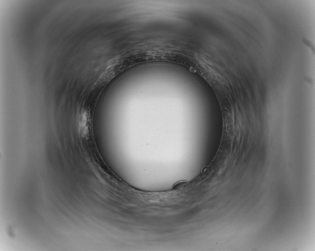 X0000098020038200804071404