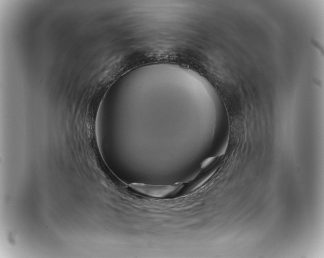 X0000098020039200804071404