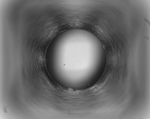 X0000098020040200804071404