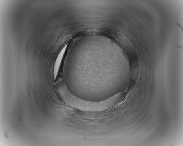 X0000098020041200804071404