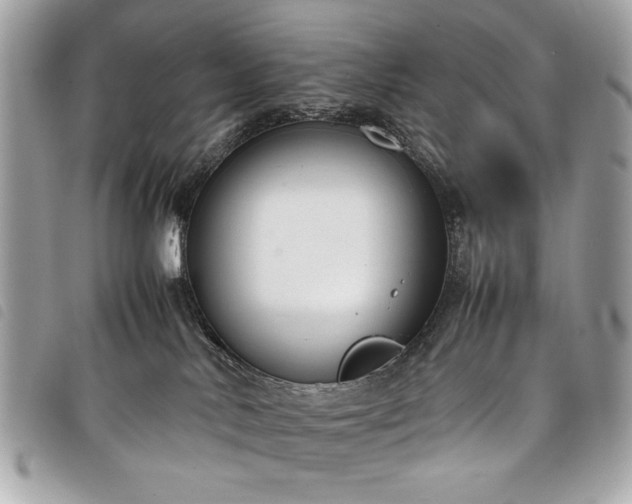 X0000098020042200804071404