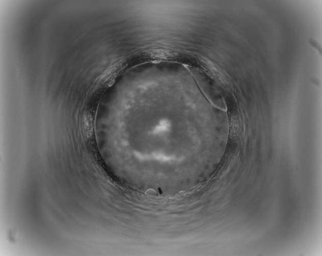 X0000098020043200804071404