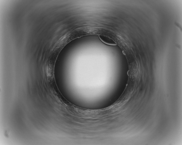 X0000098020044200804071404