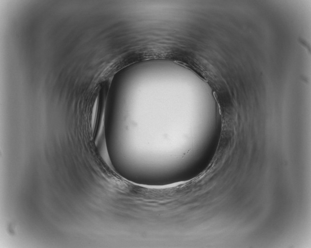 X0000098020045200804071404